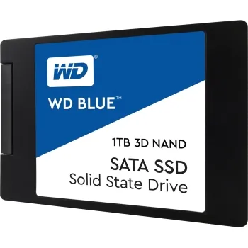 Western Digital-WDS100T2B0A