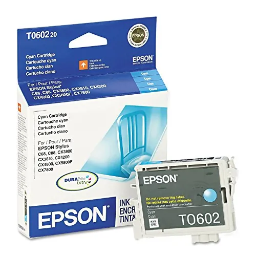 EPSON-T060220