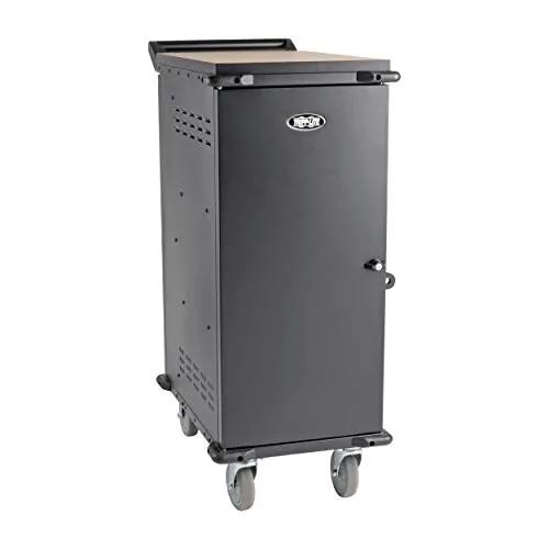 Tripp Lite-CSC21AC