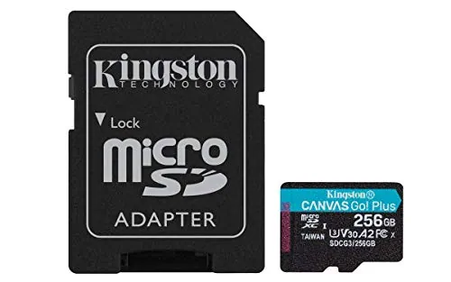 KINGSTON-SDCG3/256GB