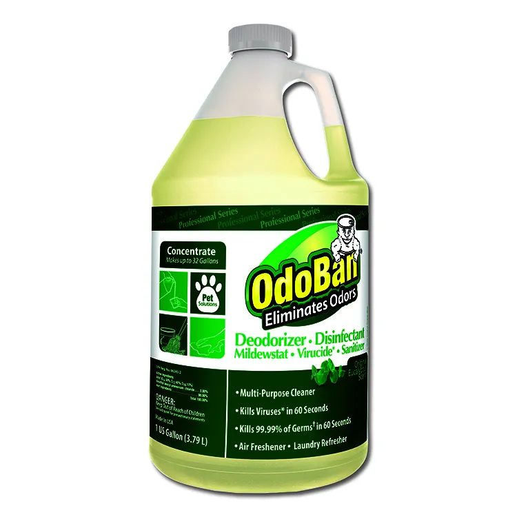 CLEAN CONTROL CORPORATION-911162-5G