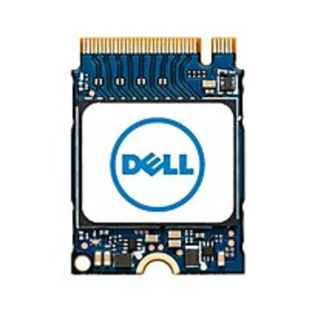 DELL-SNP112233P/256G