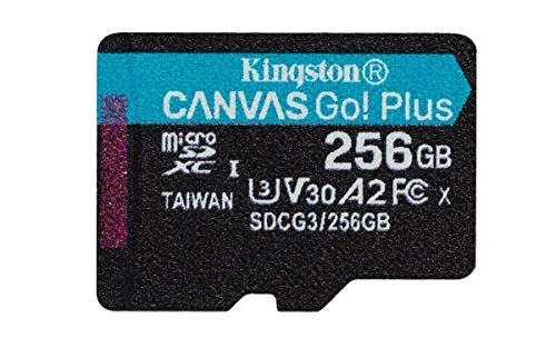 KINGSTON-SDCG3/256GBSP