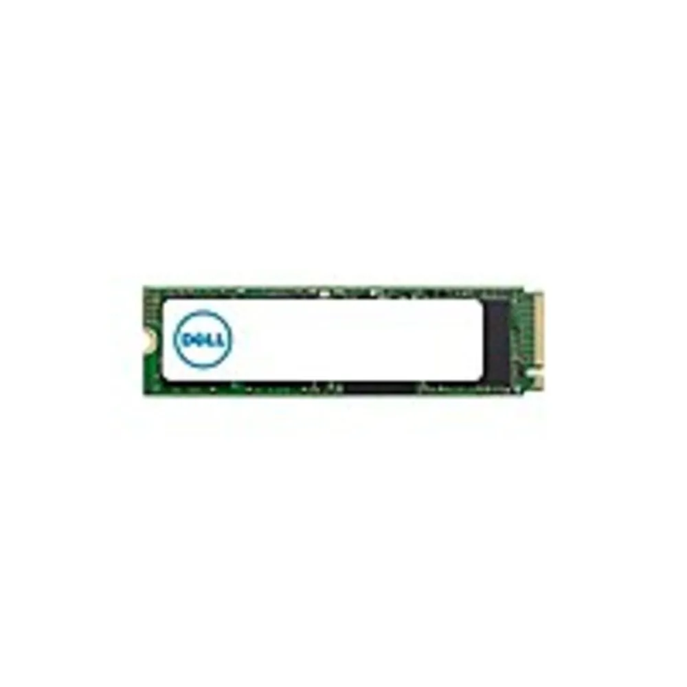 DELL-SNP112285P/1TB