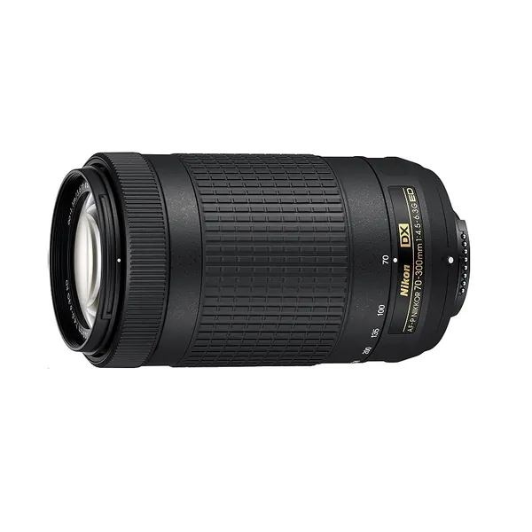 Nikon-20061
