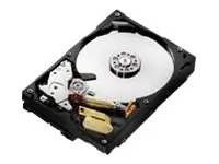Western Digital-HDS721010CLA632