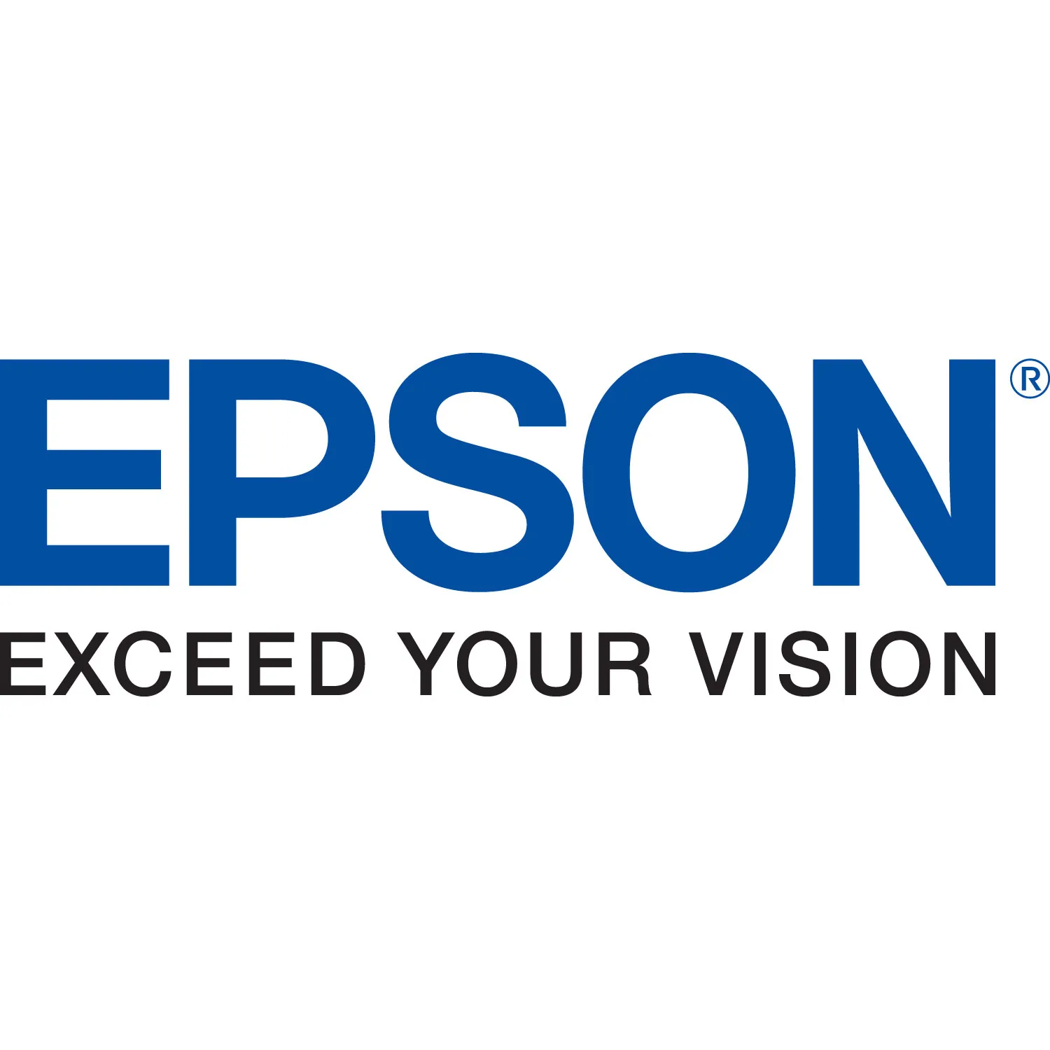 EPSON-V13H010L71