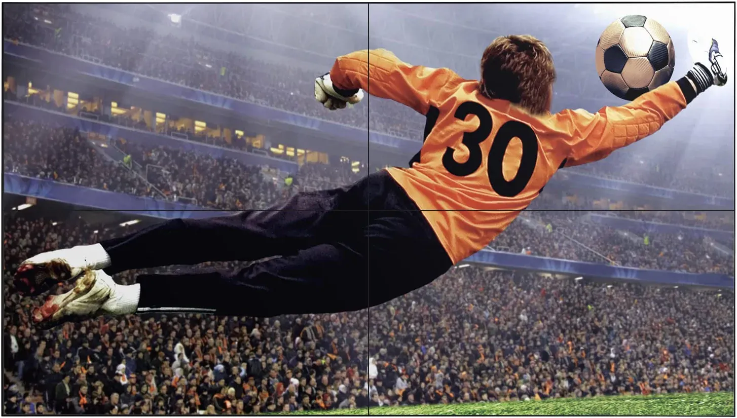 LG Electronics-49VL5G-A