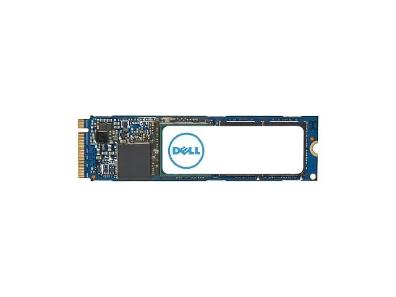 DELL-SNP228G44/1TB