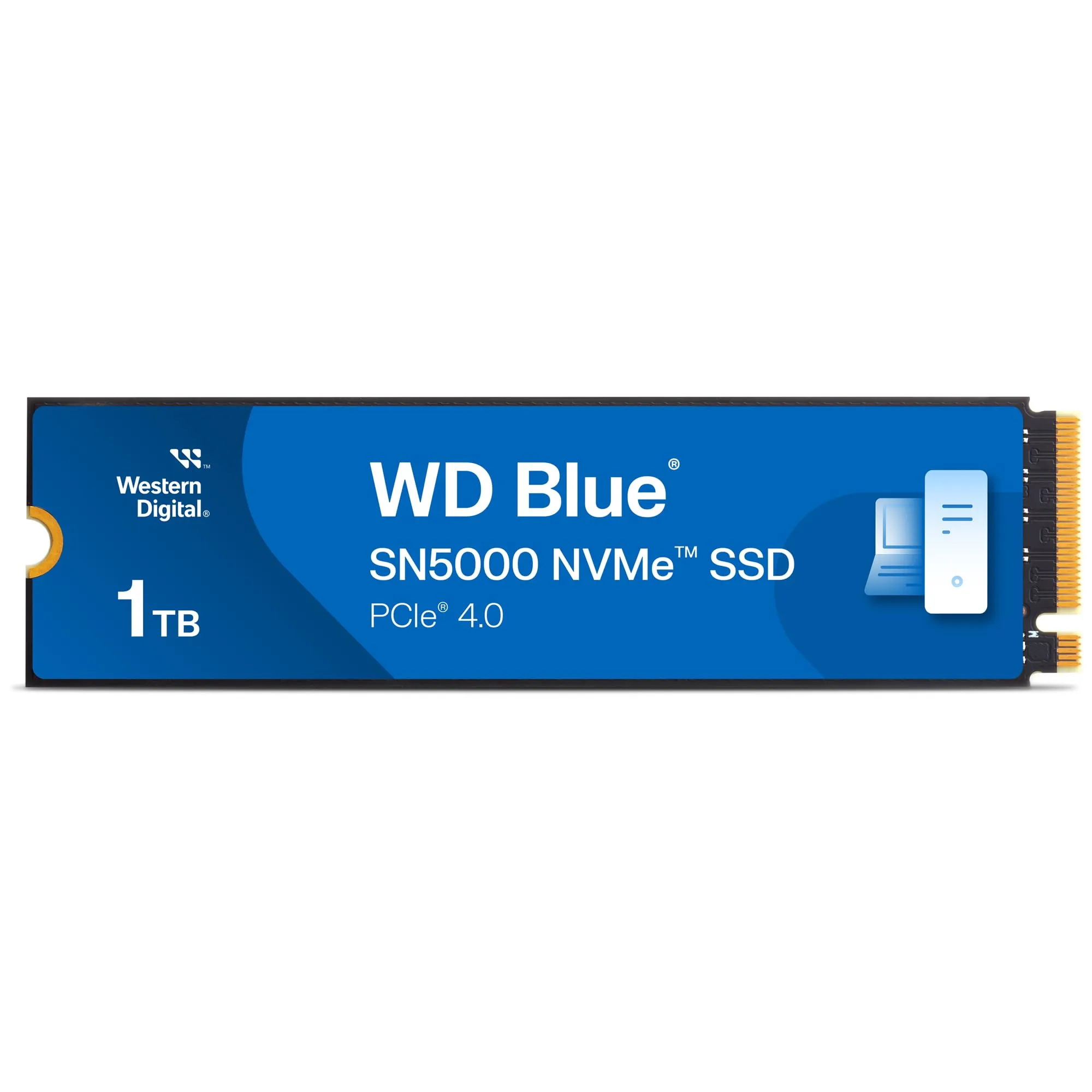 Western Digital-WDS100T4B0E
