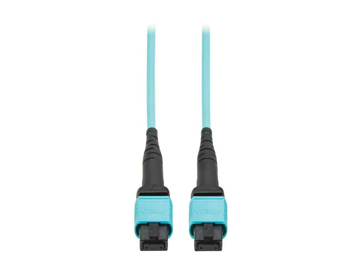 Tripp Lite-N845A-03M-12TAA