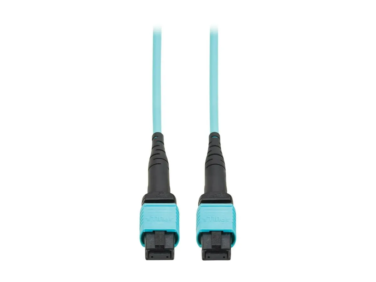 Tripp Lite-N845A-01M-12TAA