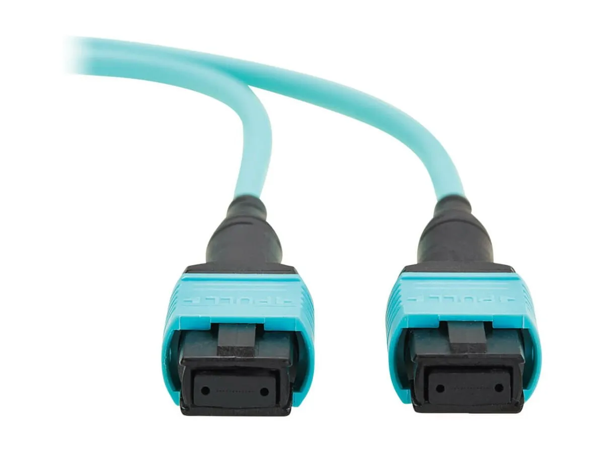 Tripp Lite-N845A-01M-12TAA