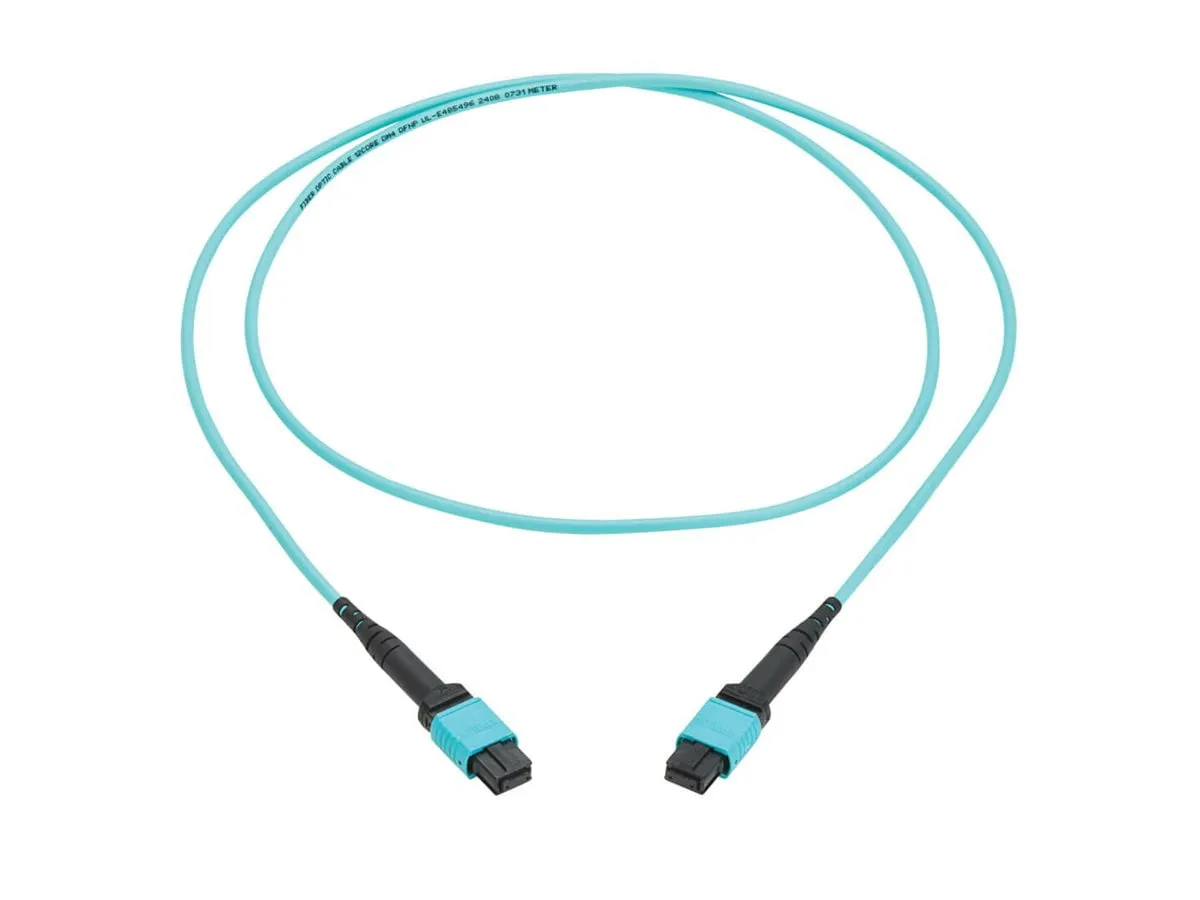 Tripp Lite-N845A-01M-12TAA