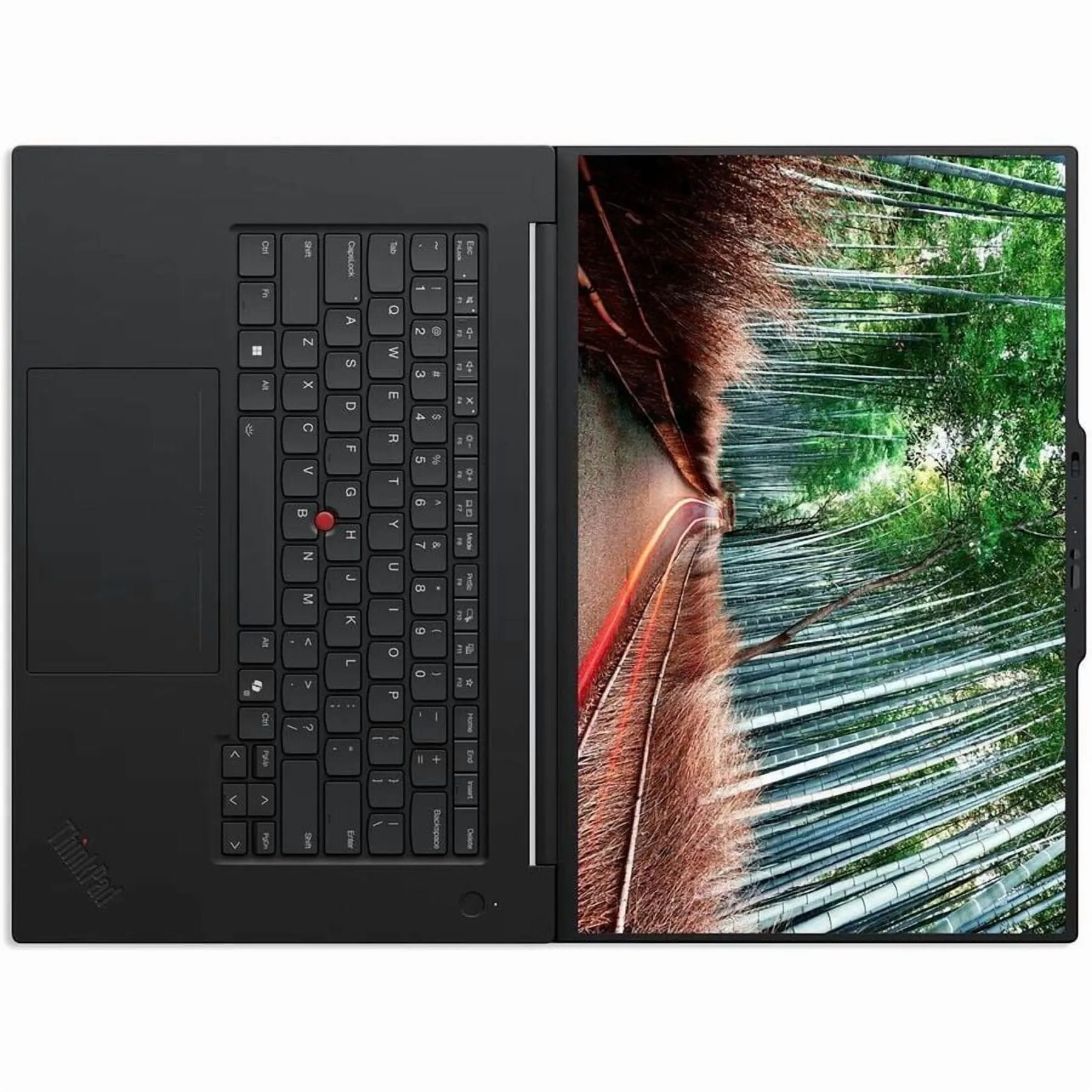 LENOVO-21TD0010US