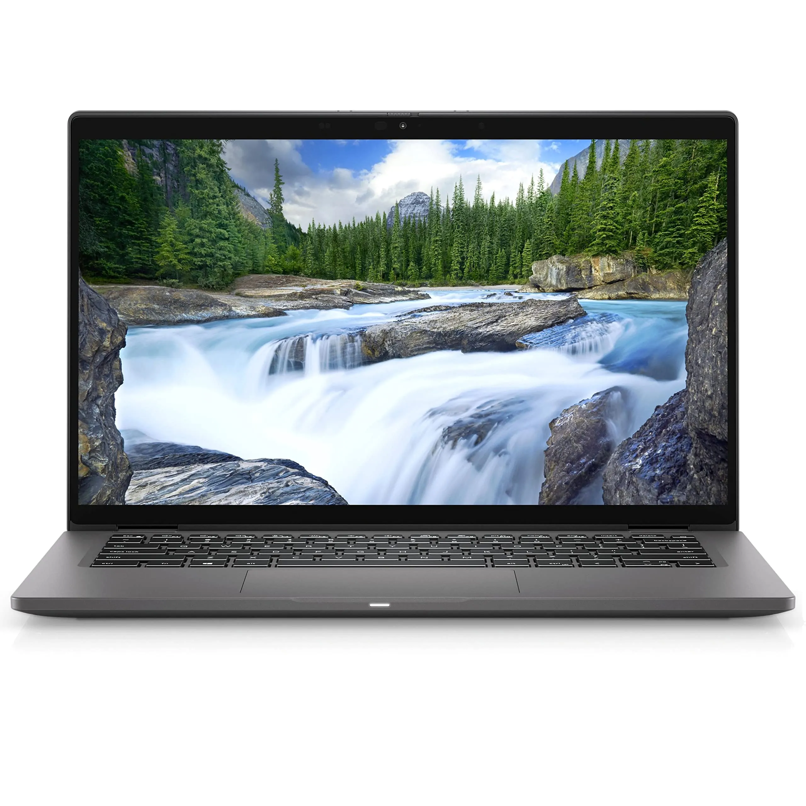 DELL-1D1PT