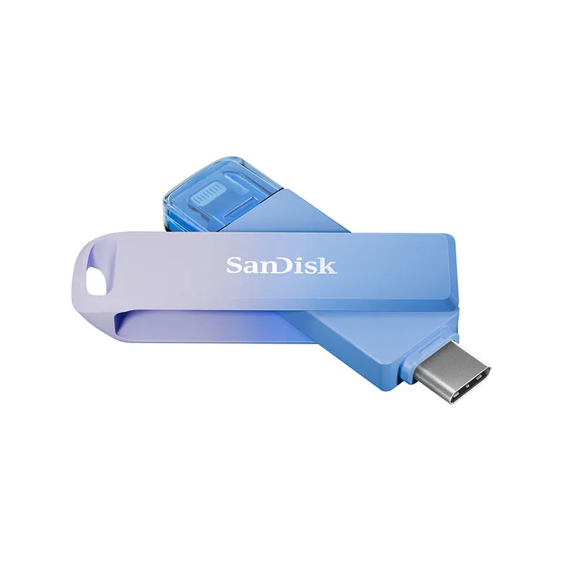 Western Digital-SDIXD0N-256G-GN6TP