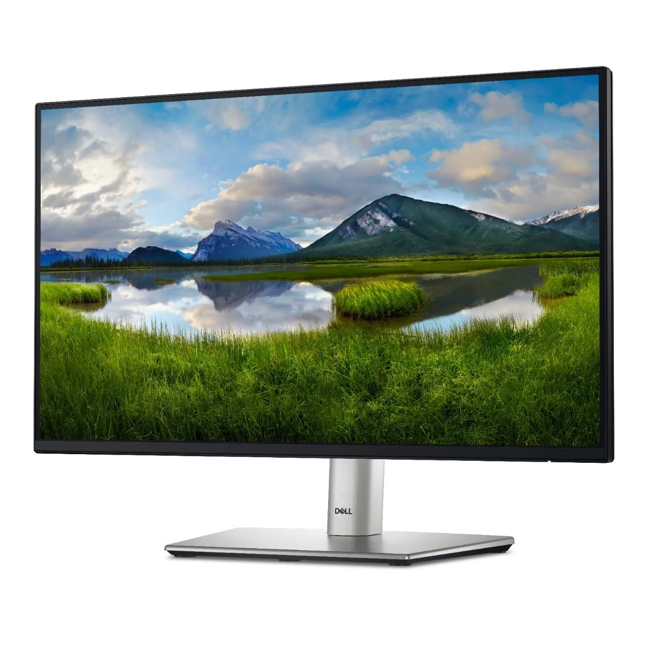 DELL-DELL-P2422H