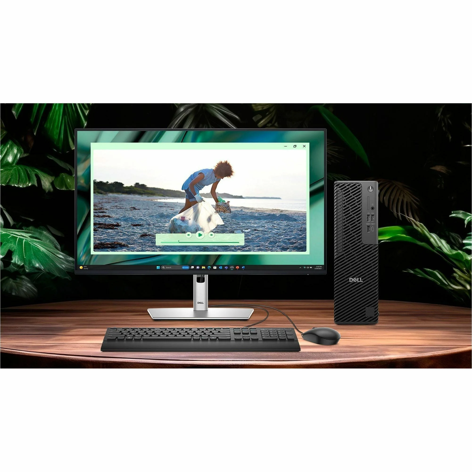 DELL-29D5F