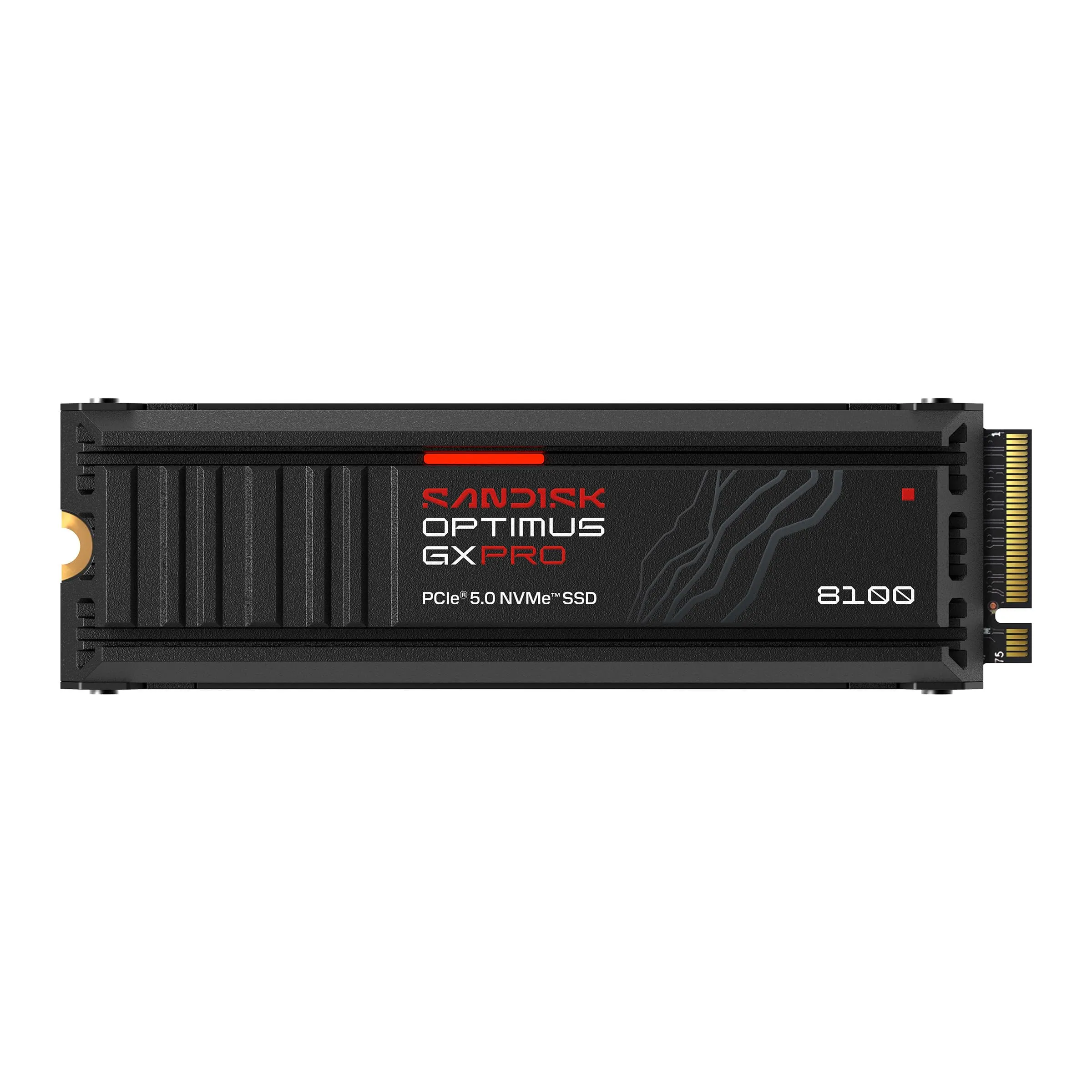 Western Digital-SDSP82200TAH-000E0